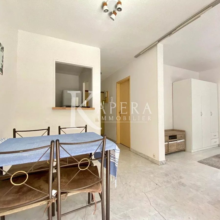 LOCATION STUDIO 26M2 - NICE MADELEINE- TERRASSE