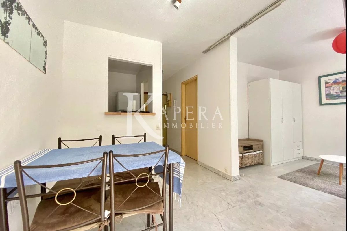 LOCATION STUDIO 26M2 - NICE MADELEINE- TERRASSE