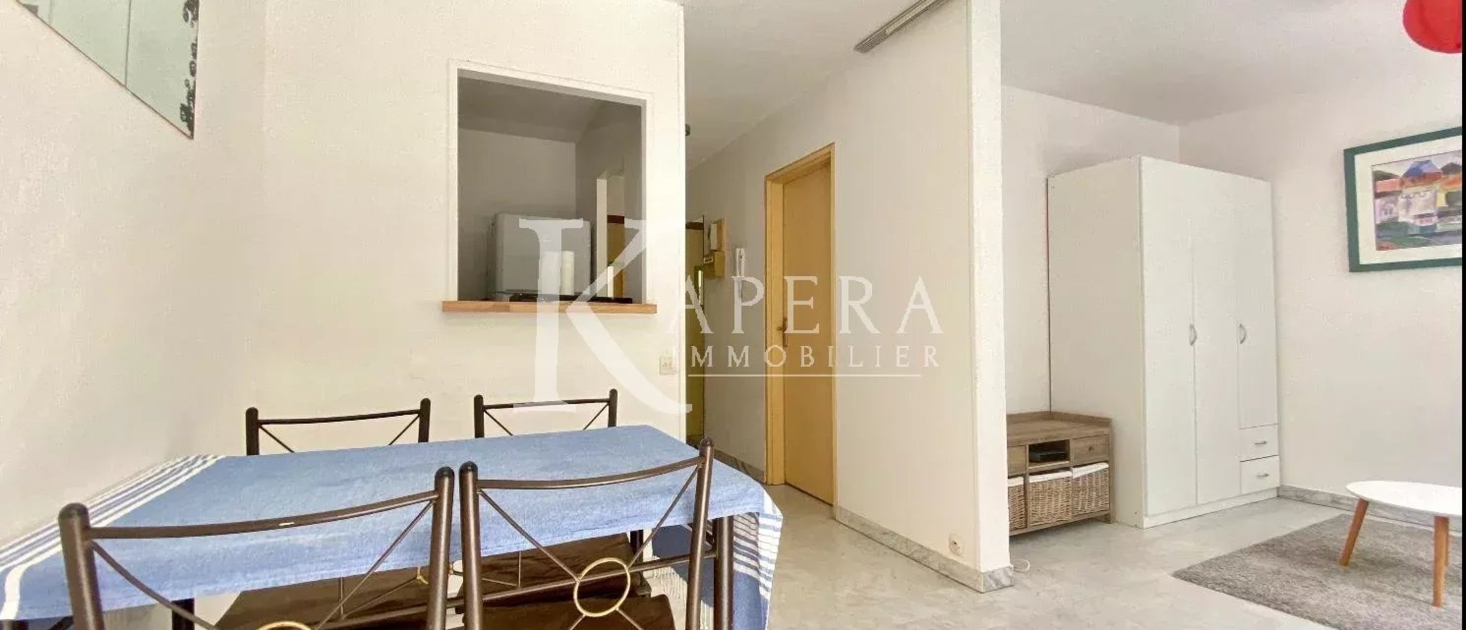 LOCATION STUDIO 26M2 - NICE MADELEINE- TERRASSE