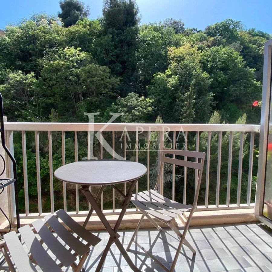 LOCATION STUDIO 26M2 - NICE MADELEINE- TERRASSE