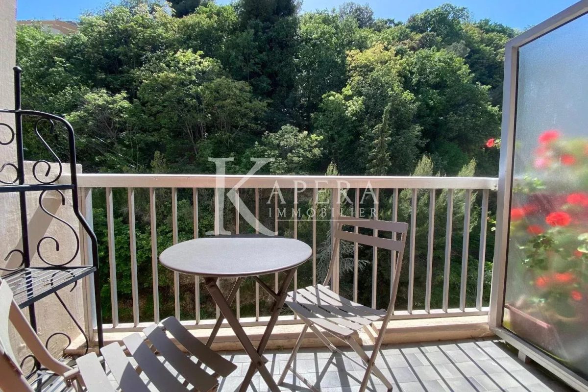 LOCATION STUDIO 26M2 - NICE MADELEINE- TERRASSE