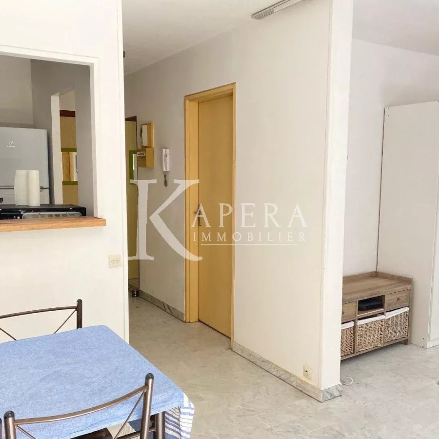 LOCATION STUDIO 26M2 - NICE MADELEINE- TERRASSE