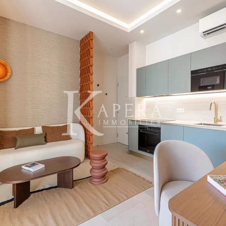 VENTE 2P 35M2 - NICE DUBOUCHAGE - TERRASSE