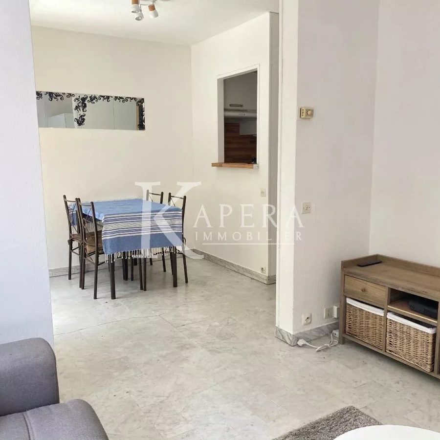 LOCATION STUDIO 26M2 - NICE MADELEINE- TERRASSE