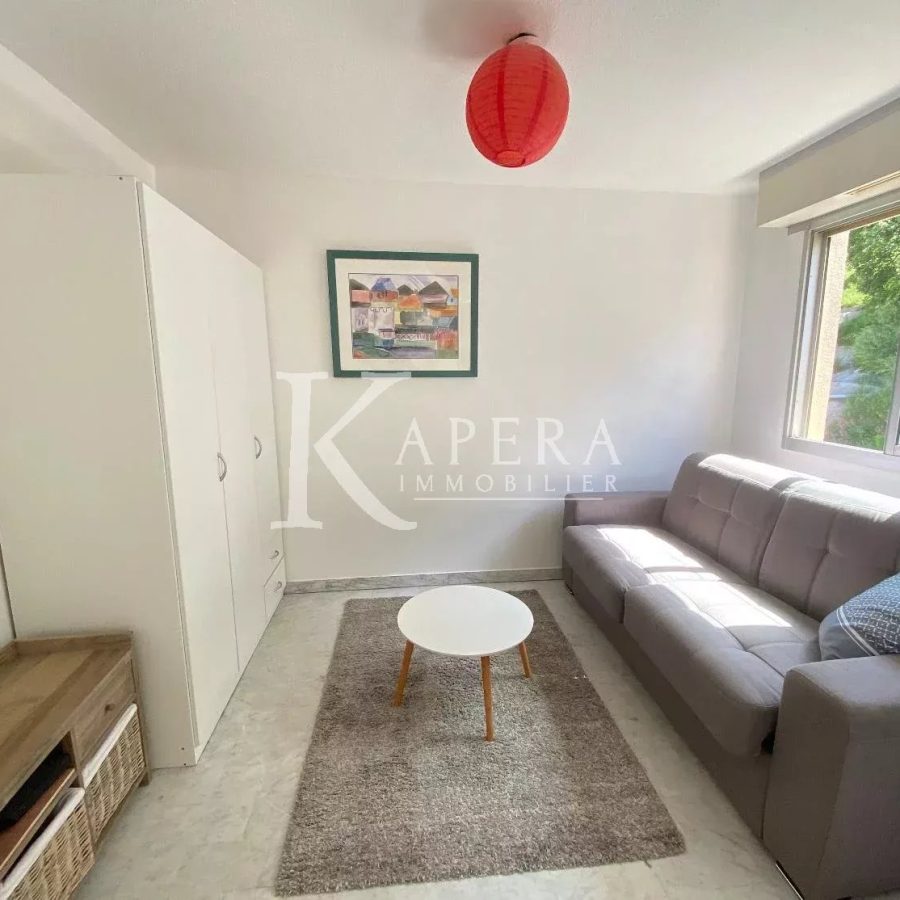 LOCATION STUDIO 26M2 - NICE MADELEINE- TERRASSE