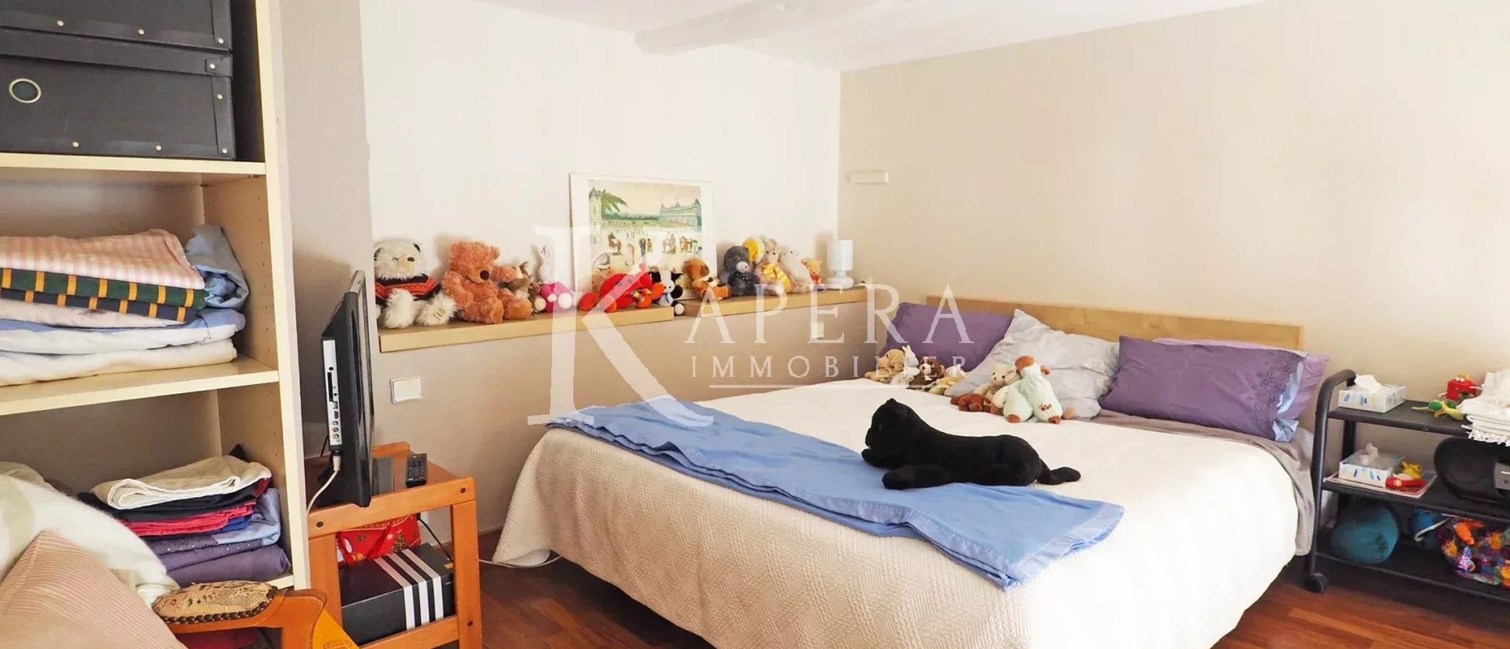 VENTE 3P 125M2 - NICE CARABACEL - CHARME DE L'ANCIEN