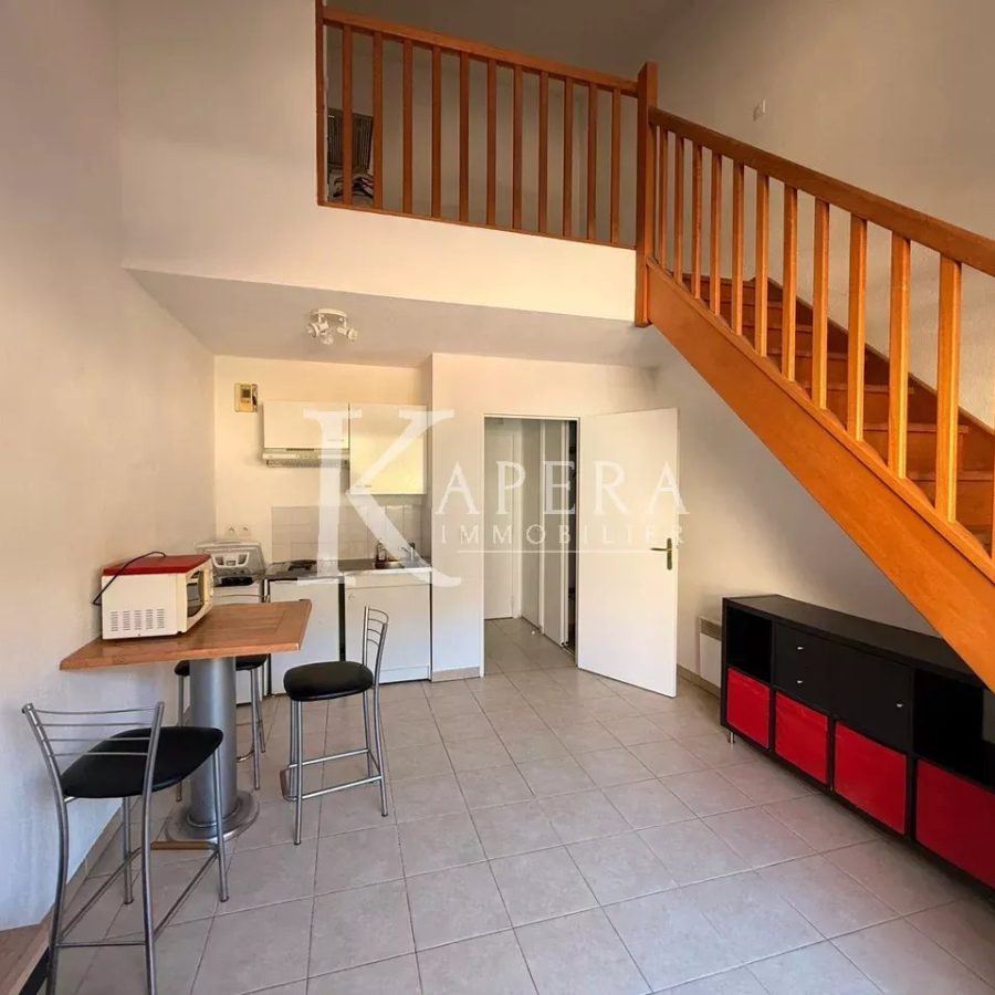 2P MEUBLE DUPLEX- NICE MADELEINE